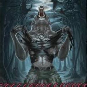 Meet your Posher, Ash